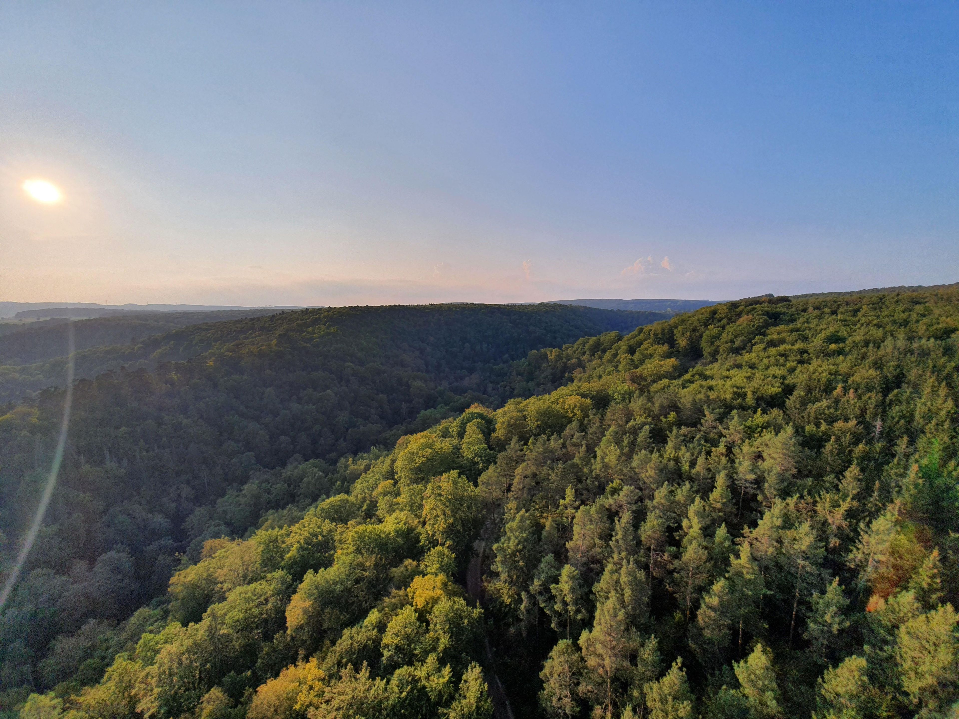 A forested landscape with a clear sky and sunlight.