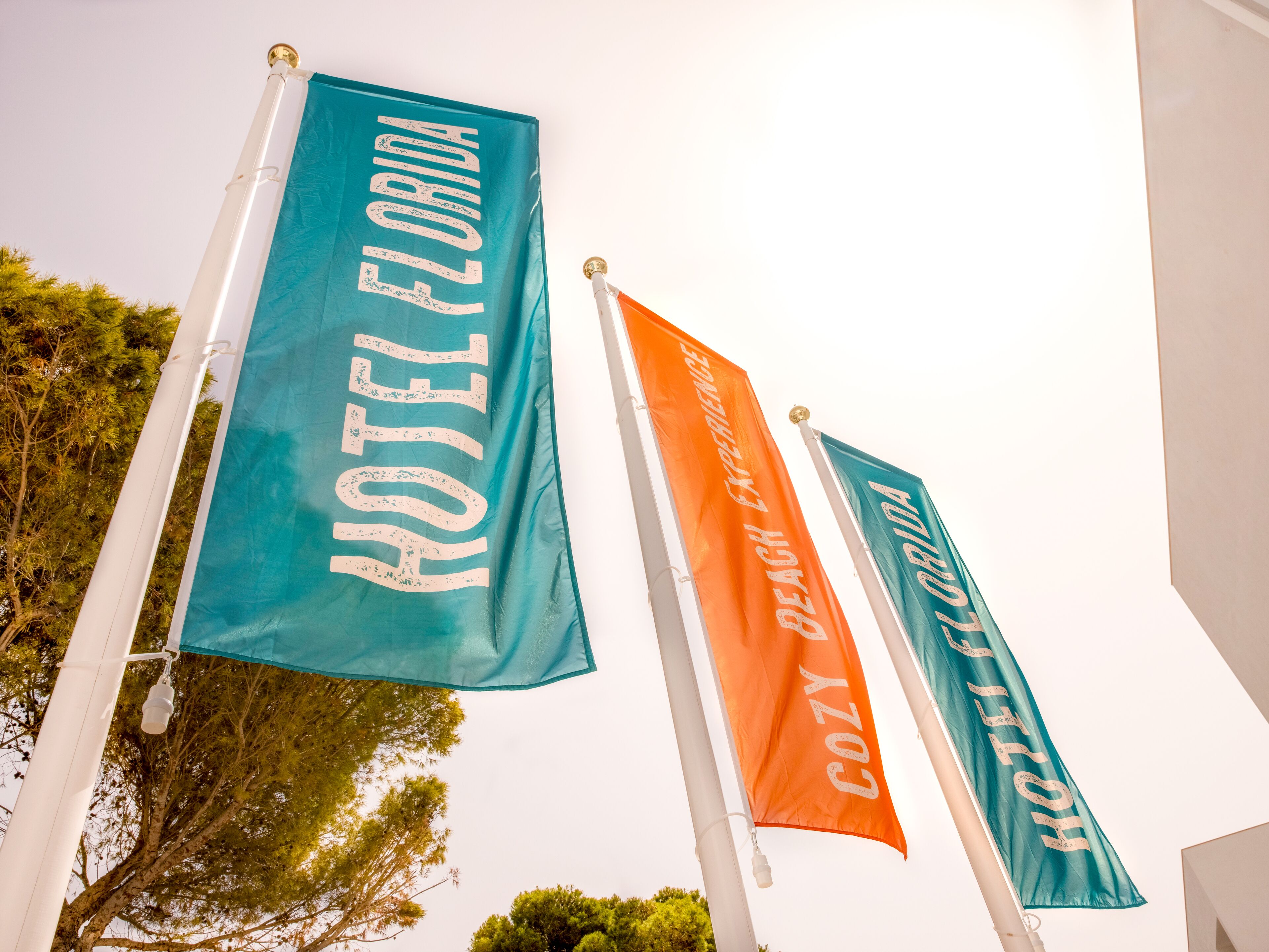 Foto - Hotel Florida Magaluf - Adults Only