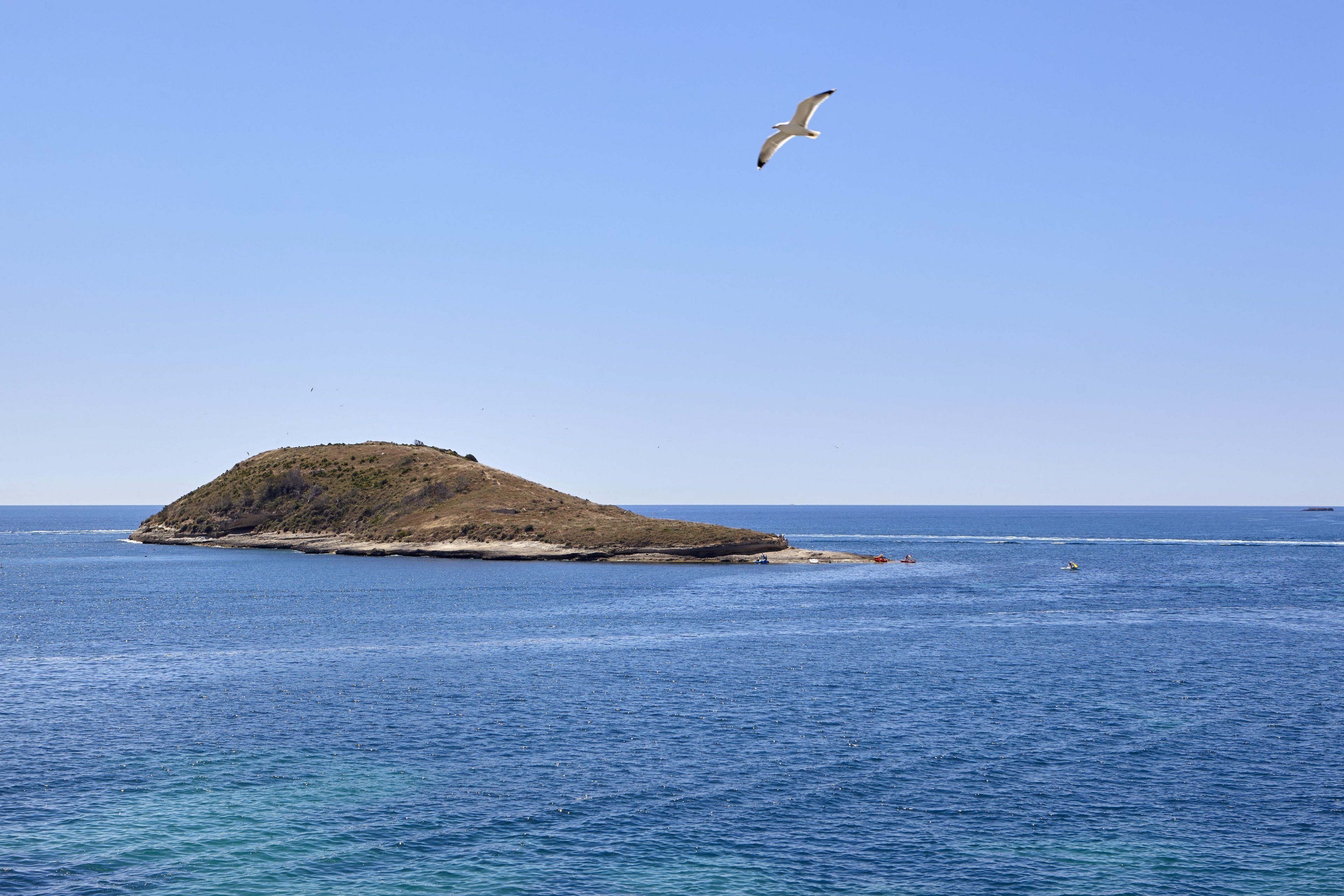 Foto - Hotel Florida Magaluf - Adults Only