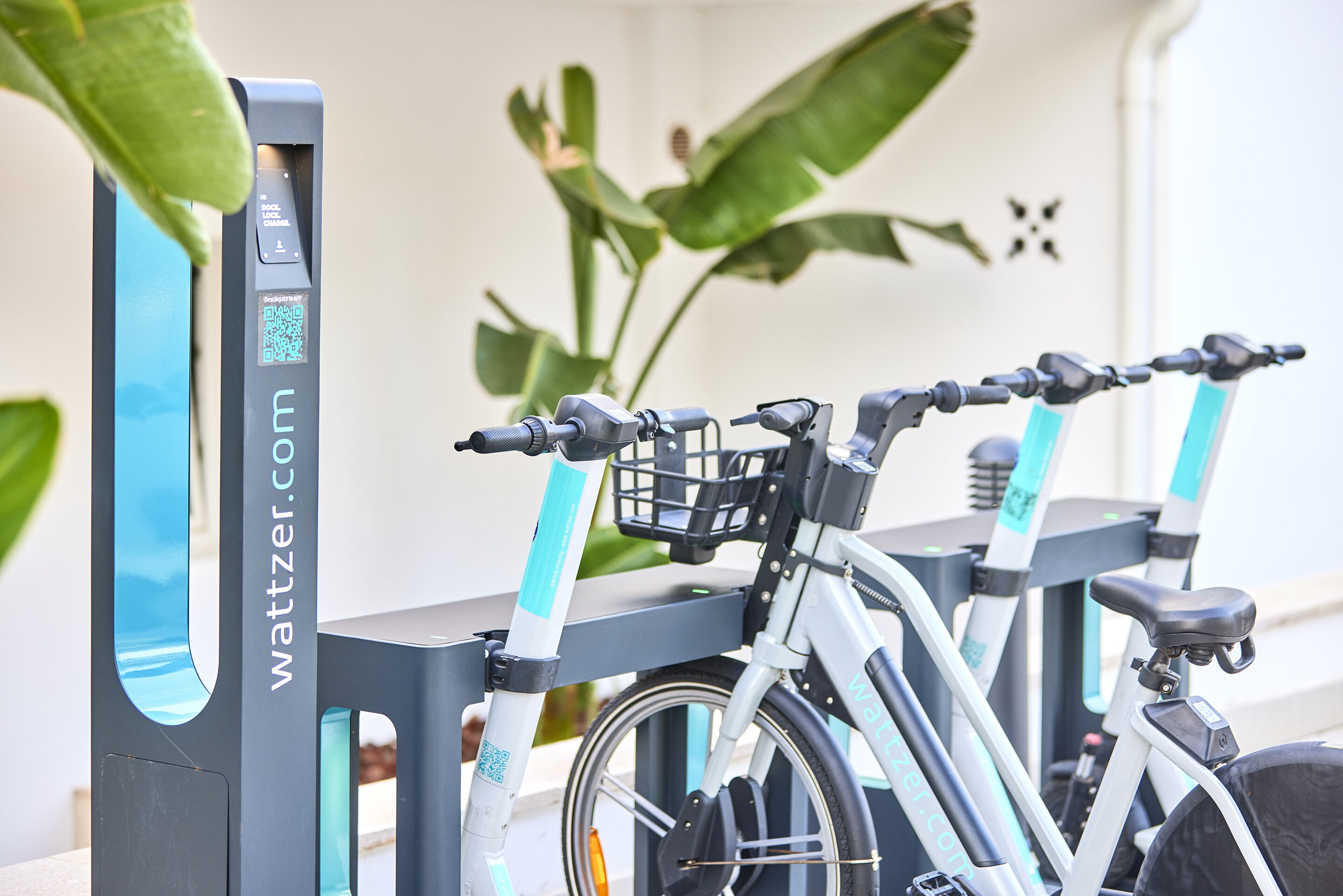 Foto - Hotel Florida Magaluf - Adults Only