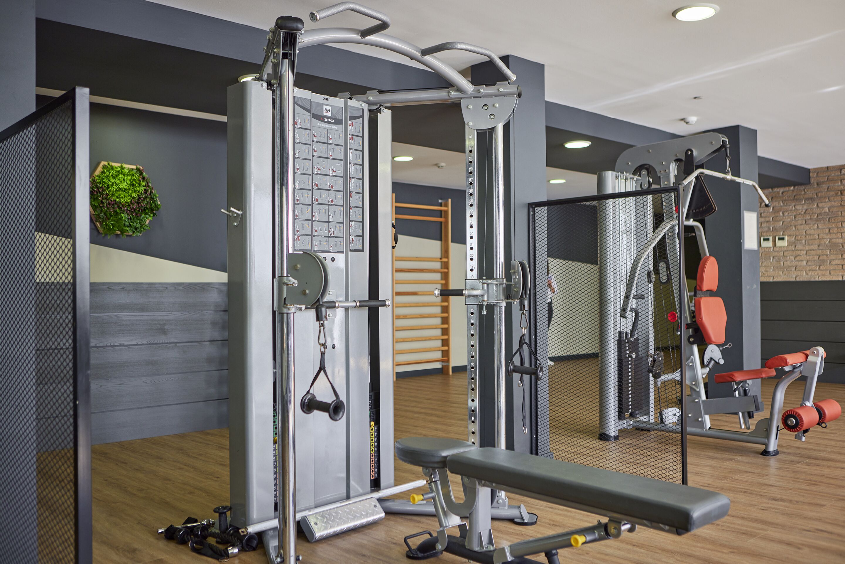 Foto - Hotel Florida Magaluf - Adults Only