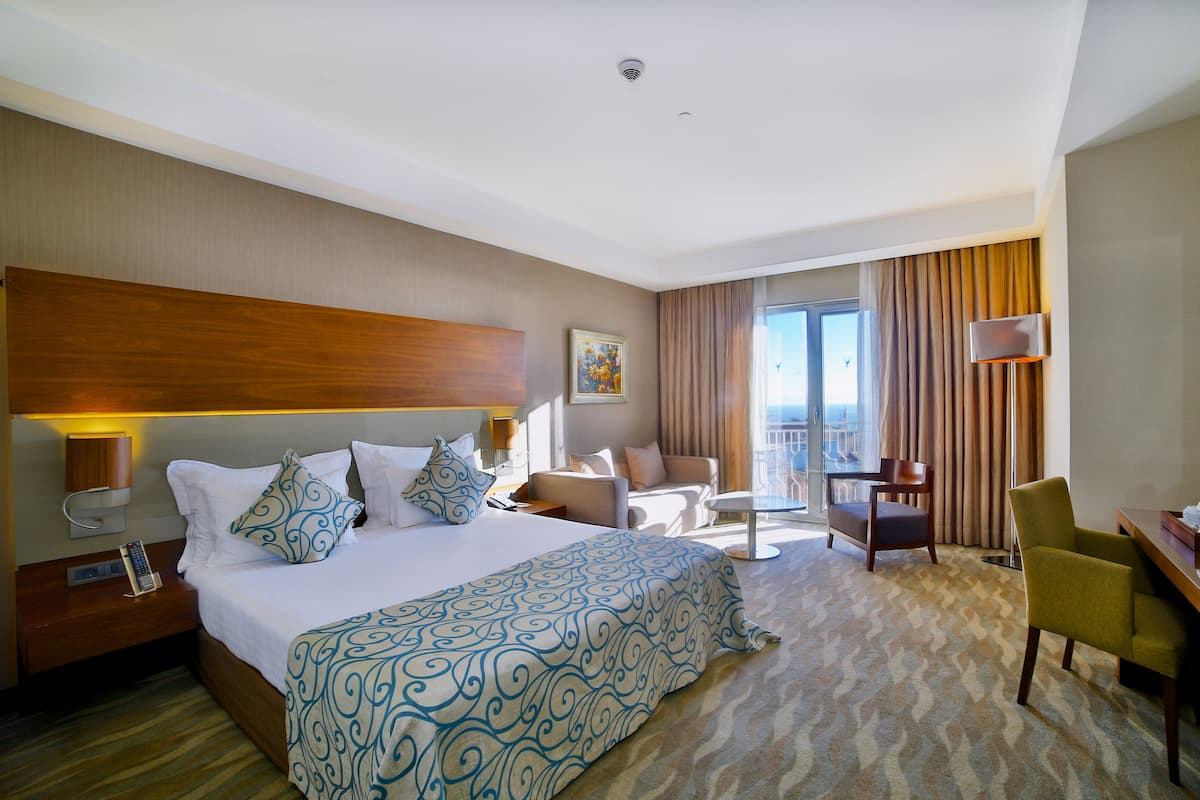 A hotel room with a large bed, a desk, a chair, a sofa, and a view of the outdoors.