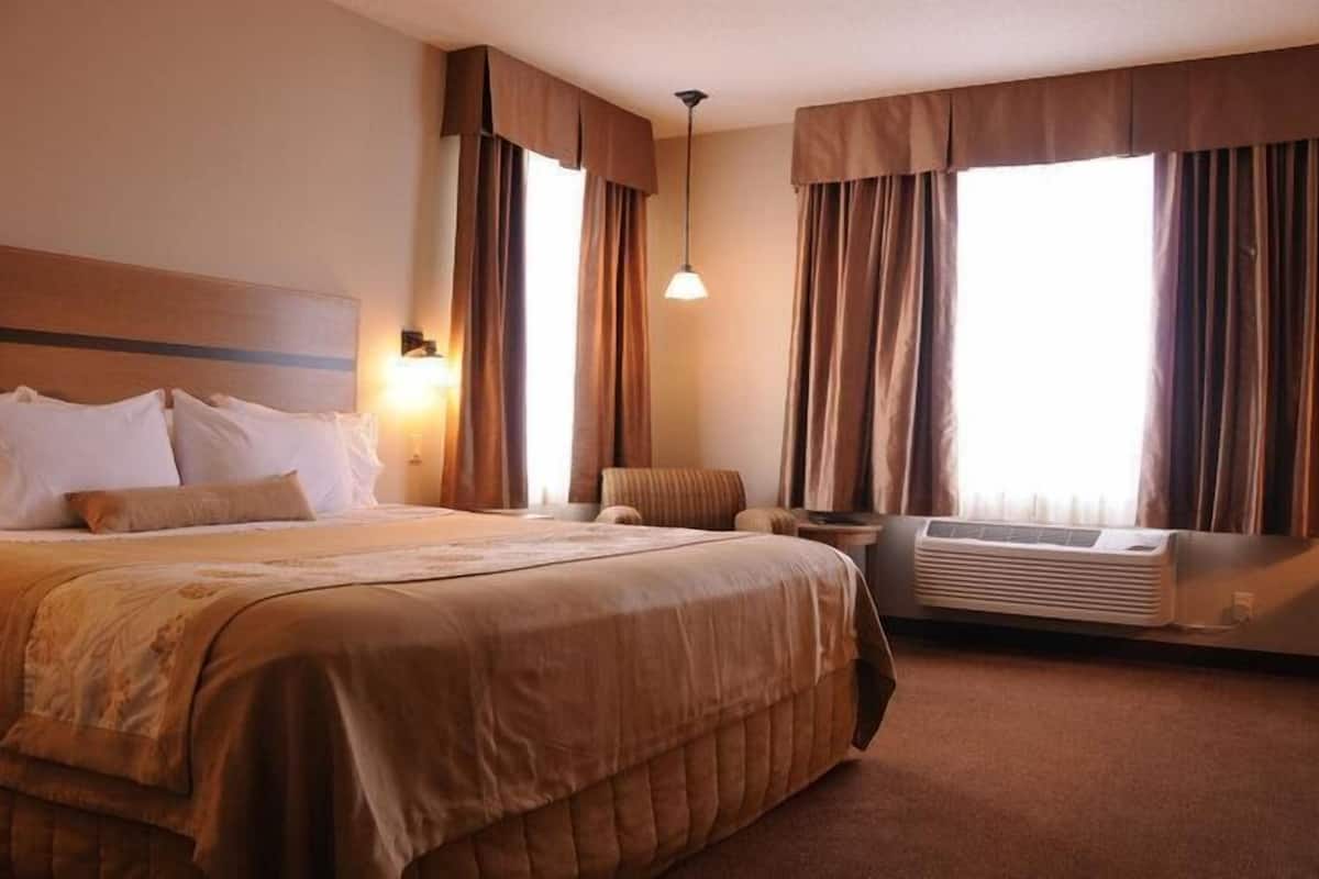 standard room, 1 king bed, refrigerator & microwave, lake view | 1 bedroom, desk, laptop workspace, iron/ironing board