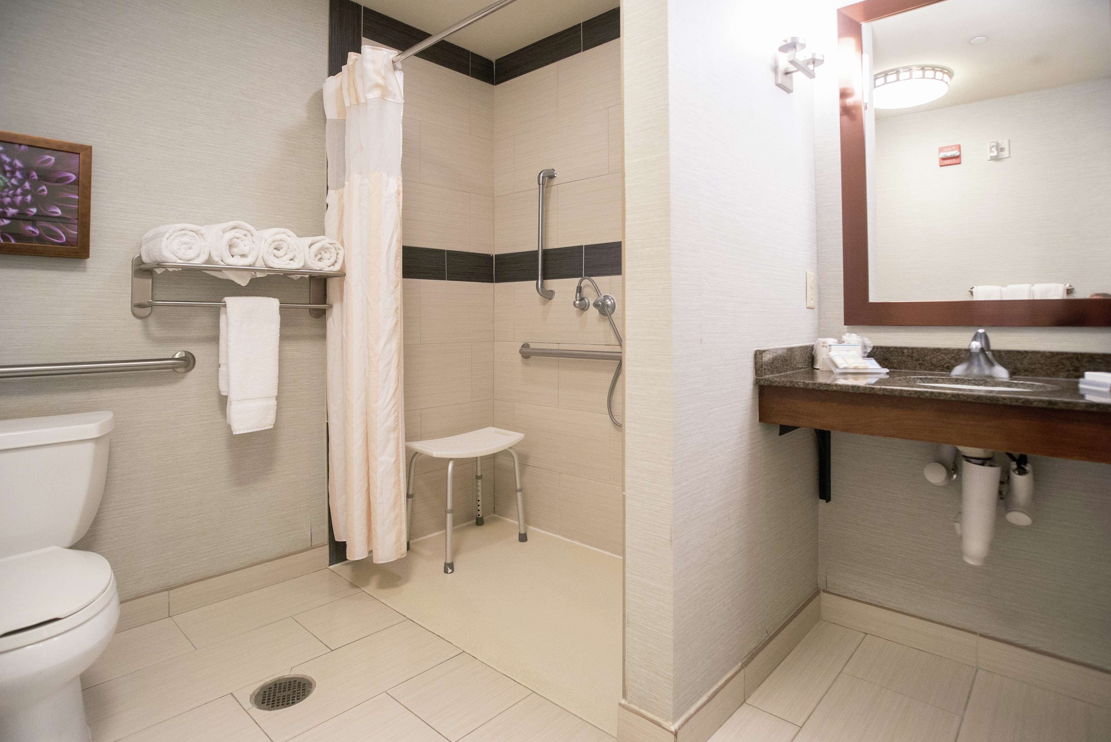 room, 2 queen beds, accessible (roll-in shower) | bathroom shower