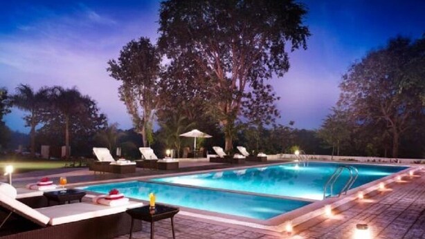 A swimming pool with lounge chairs and umbrellas, surrounded by trees. - Gir Serai - IHCL SeleQtions (Mendarda)