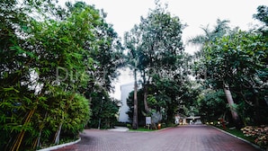 A paved pathway flanked by lush green trees and a building in the background. - Gir Serai - IHCL SeleQtions (Mendarda)