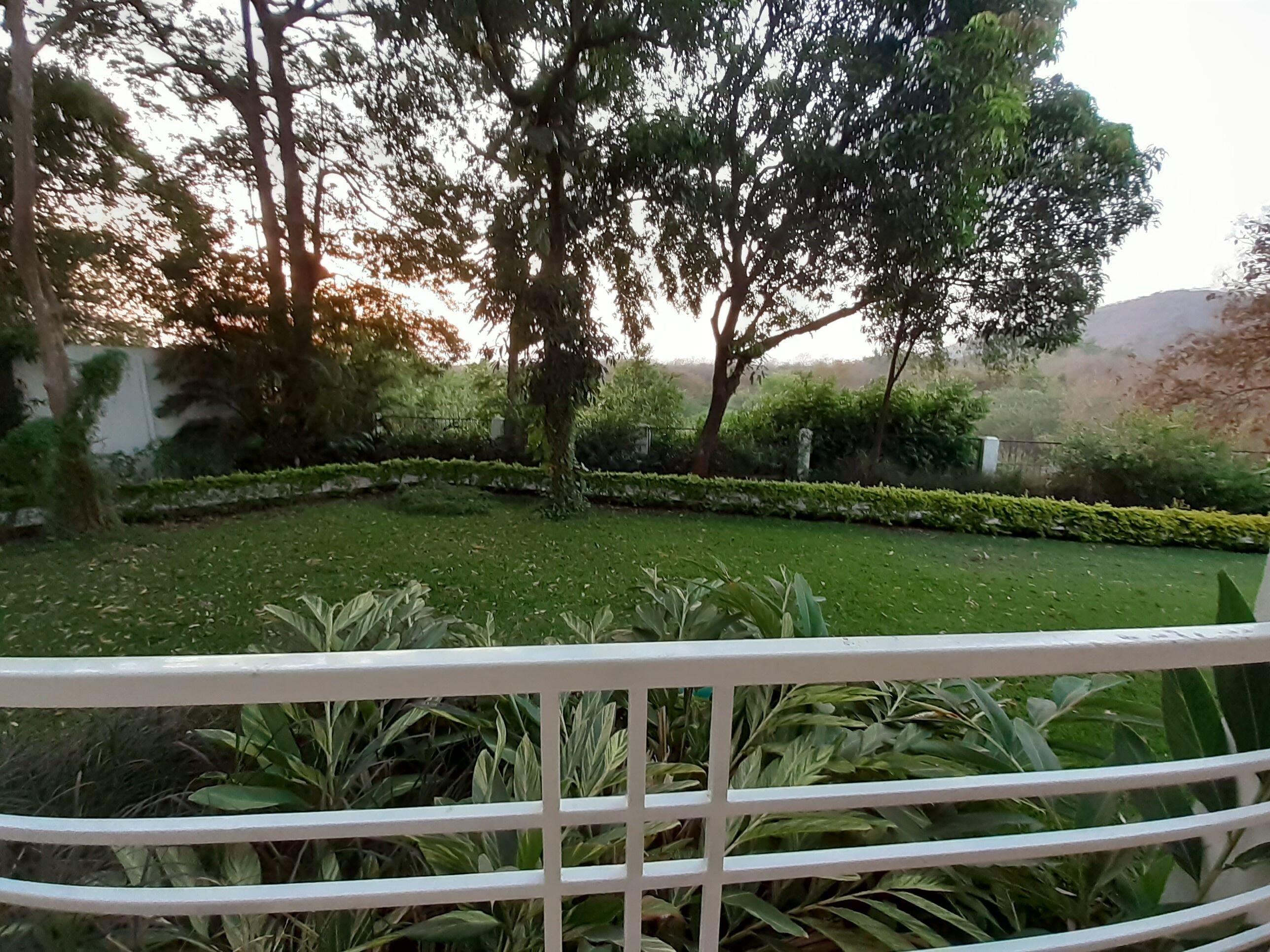 A well-maintained garden with neatly trimmed hedges and a variety of trees.