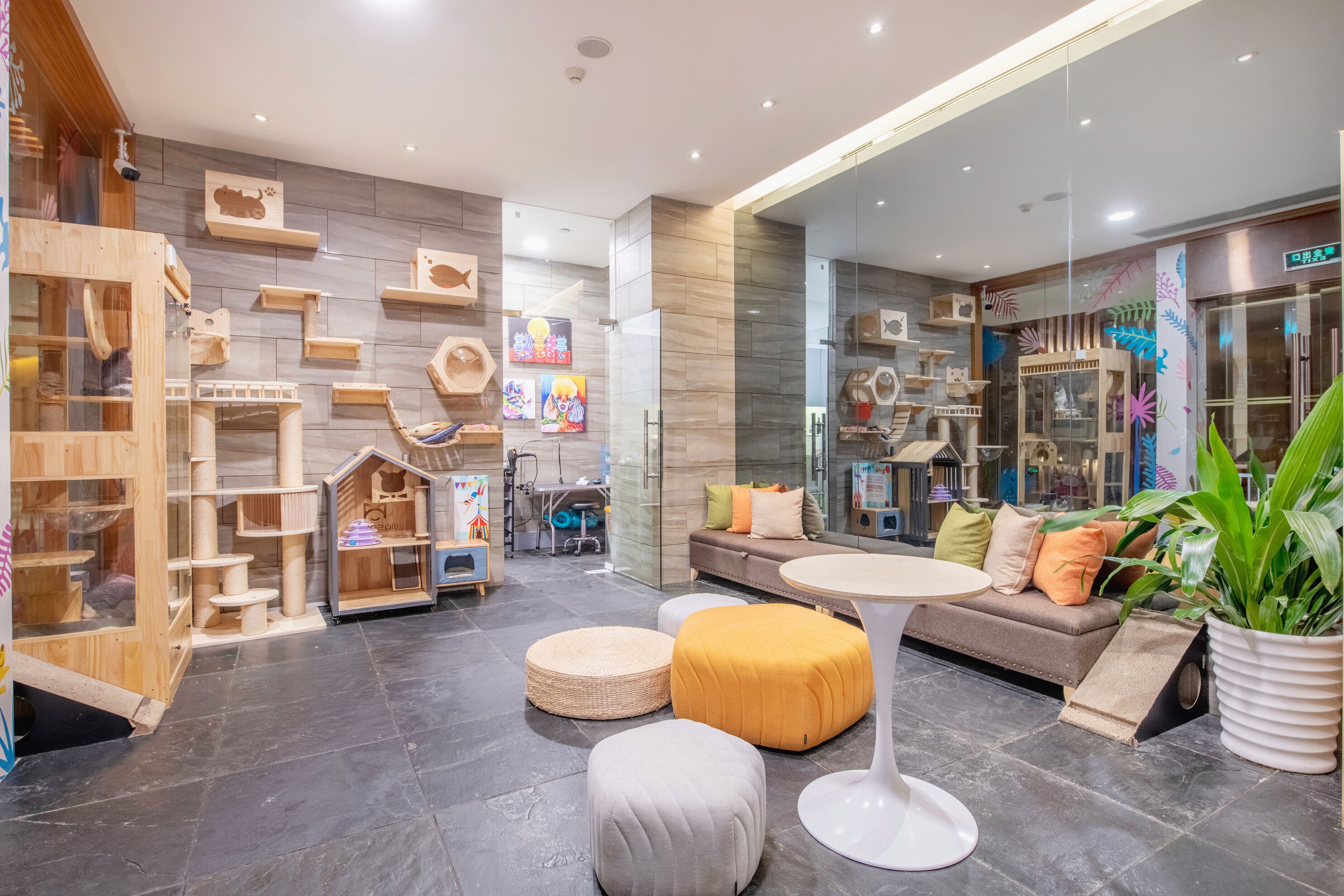 pet-friendly amenities