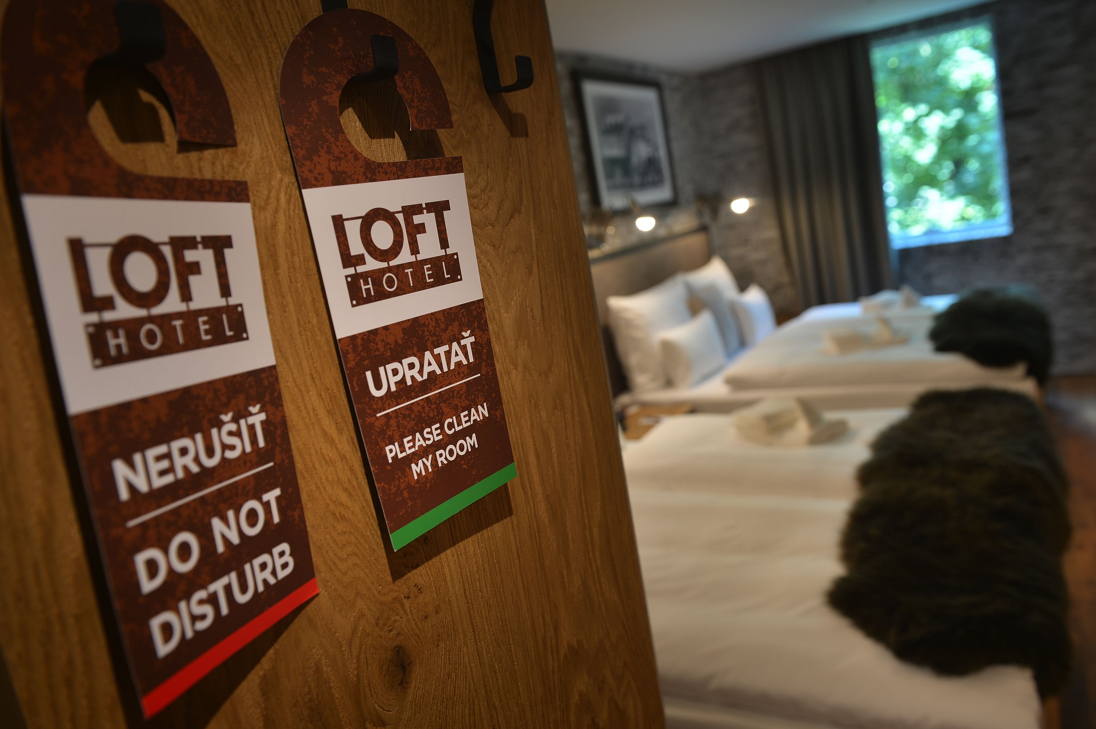 A hotel room with a bed, a dog, and signs on a wooden post.