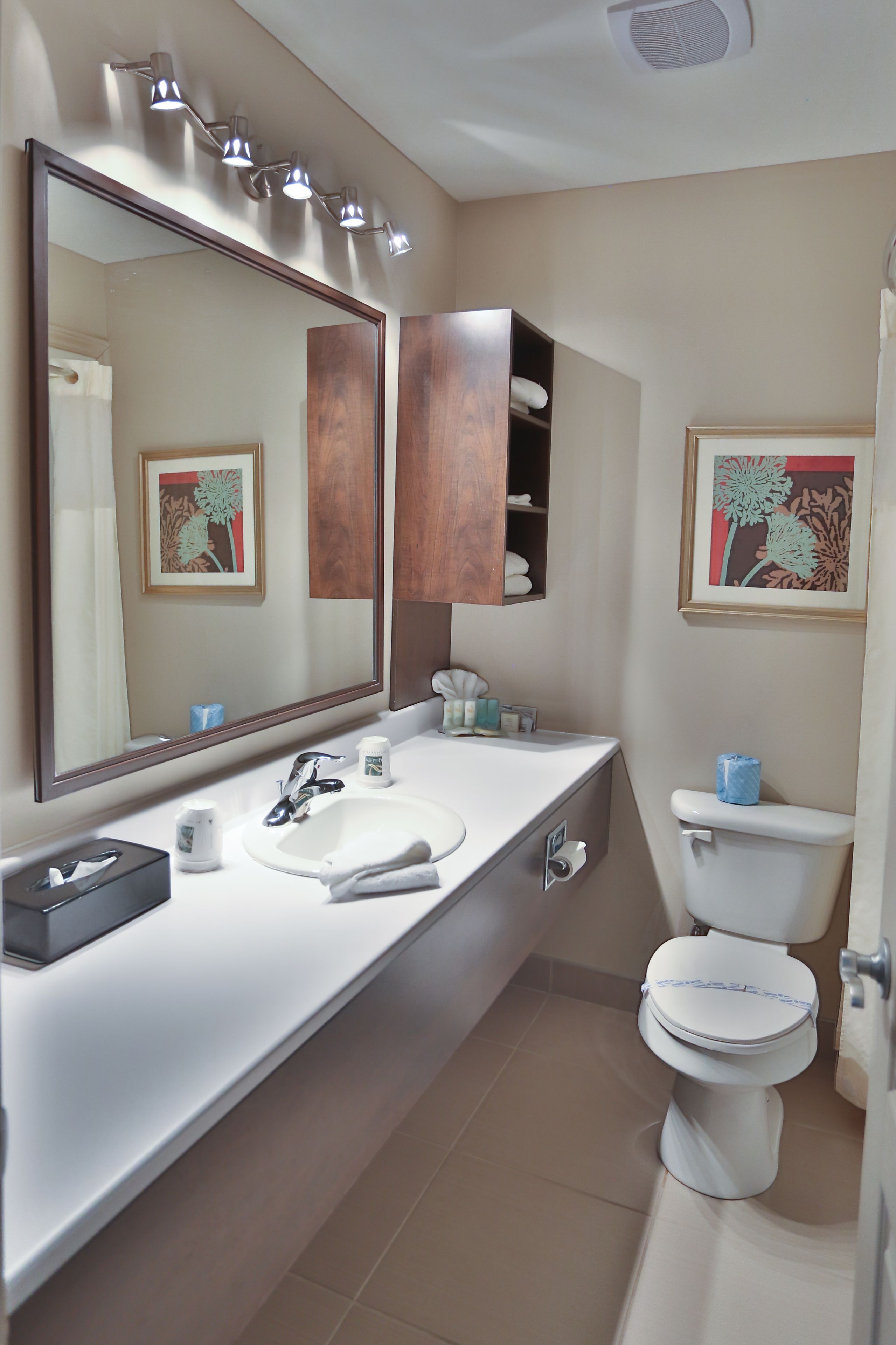 free toiletries, hair dryer, towels