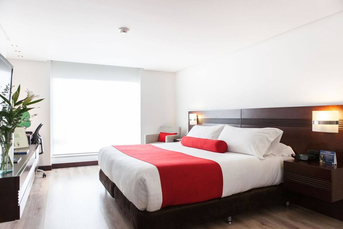 Habitación de hotel con una cama grande, mesitas de noche, un escritorio con silla, una planta y una ventana.