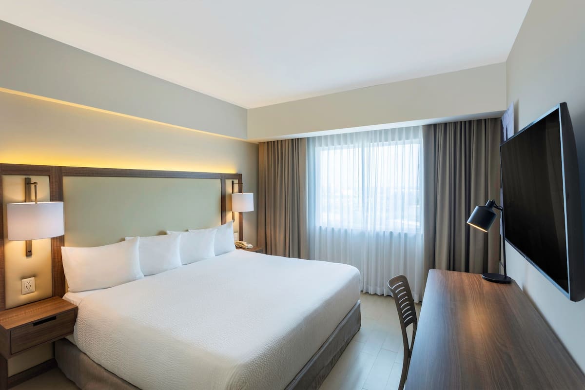 Room, 1 King Bed