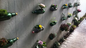 Un mur orné de nombreuses bouteilles vertes disposées verticalement, chacune contenant des plantes.