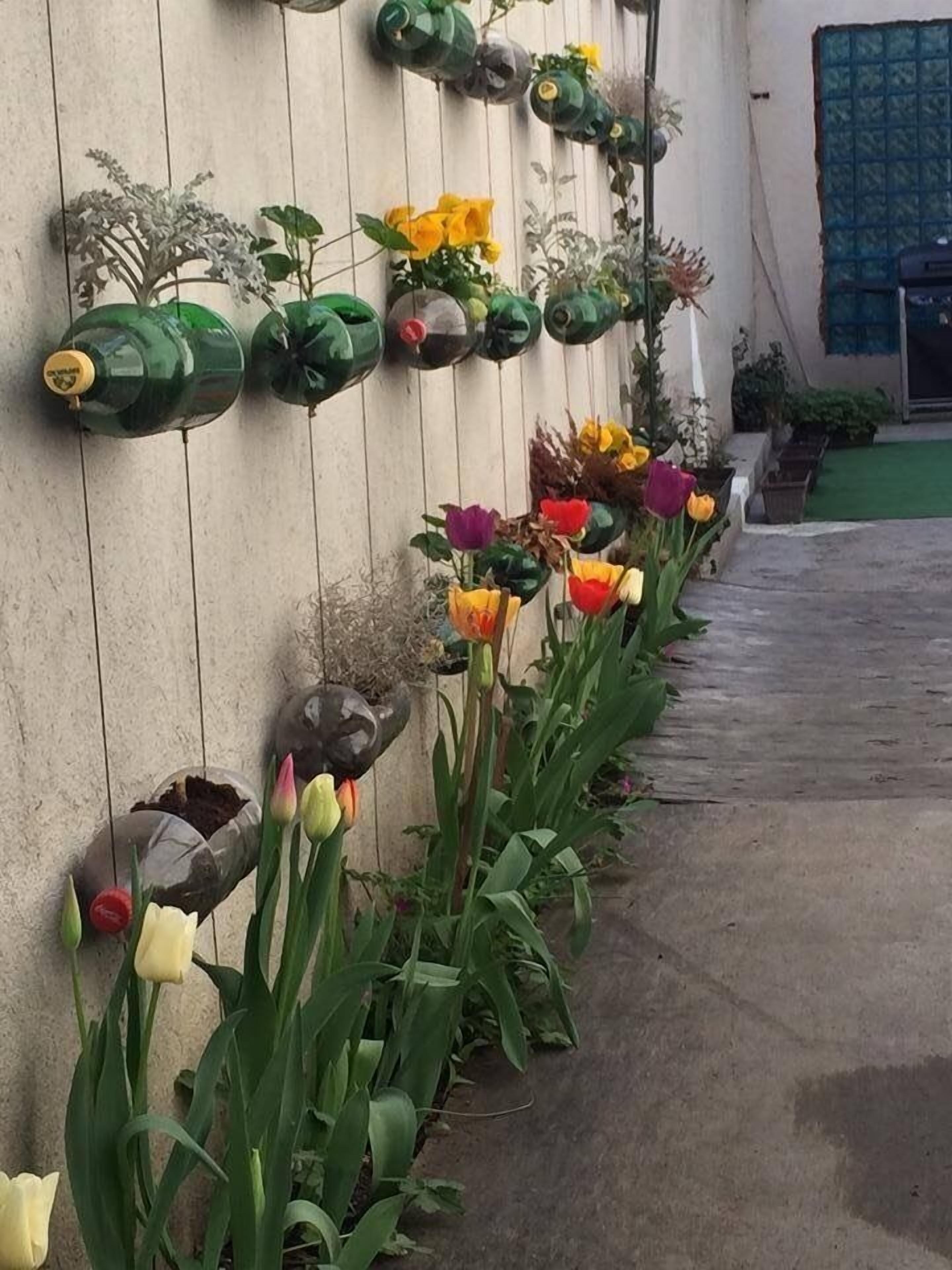 Photo - Pop Bogomil family hotel