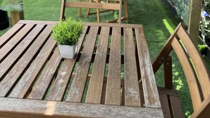 En udendørs terrasse med træborde og -stole, en lille plantepotte og en væg dækket af grøntværk.