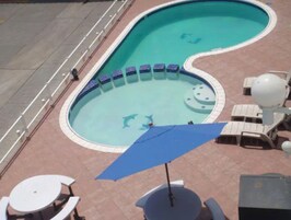 A swimming pool with a dolphin mural, surrounded by lounge chairs and a sun umbrella.