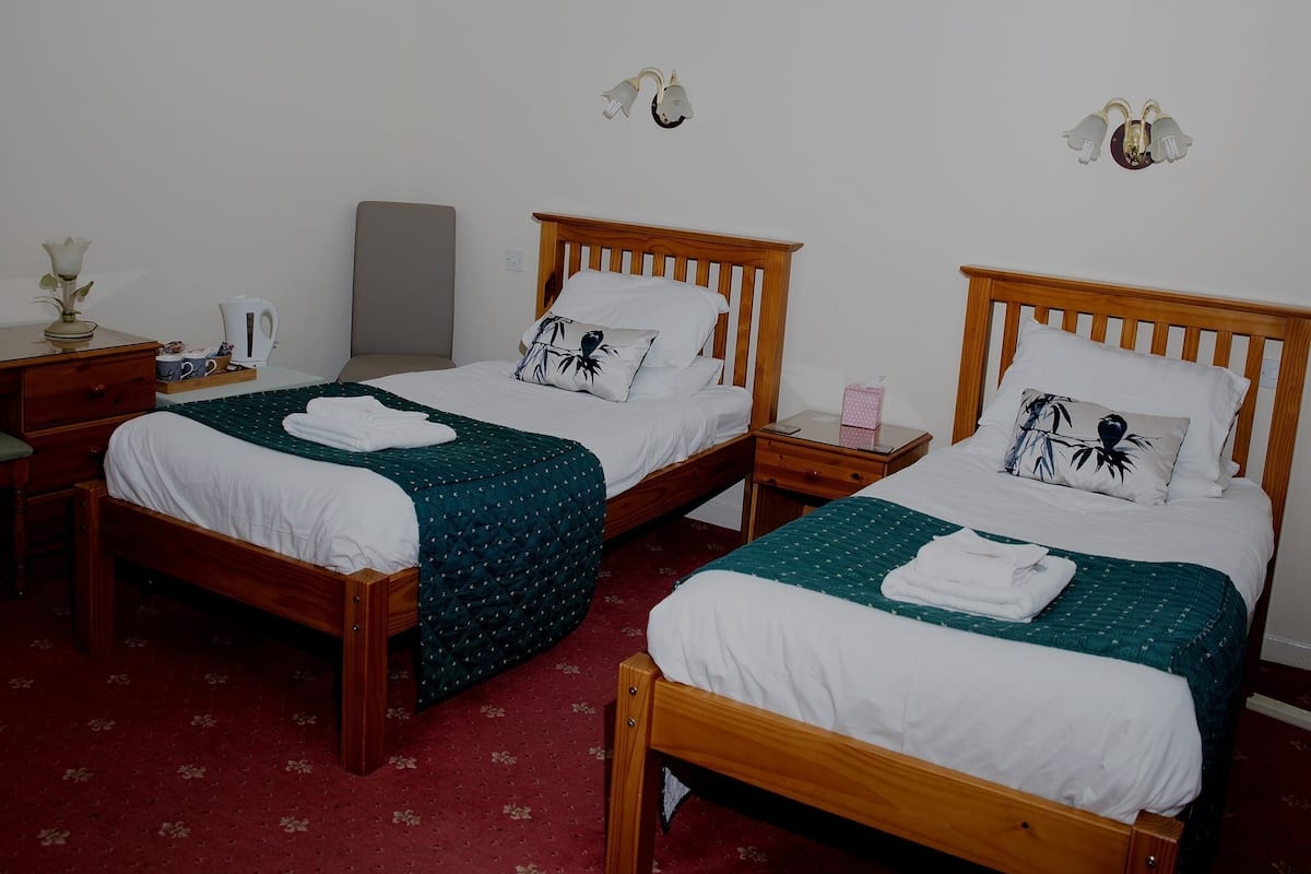 Two wooden beds with white bedding, a nightstand with a lamp, and a floral-patterned carpet.