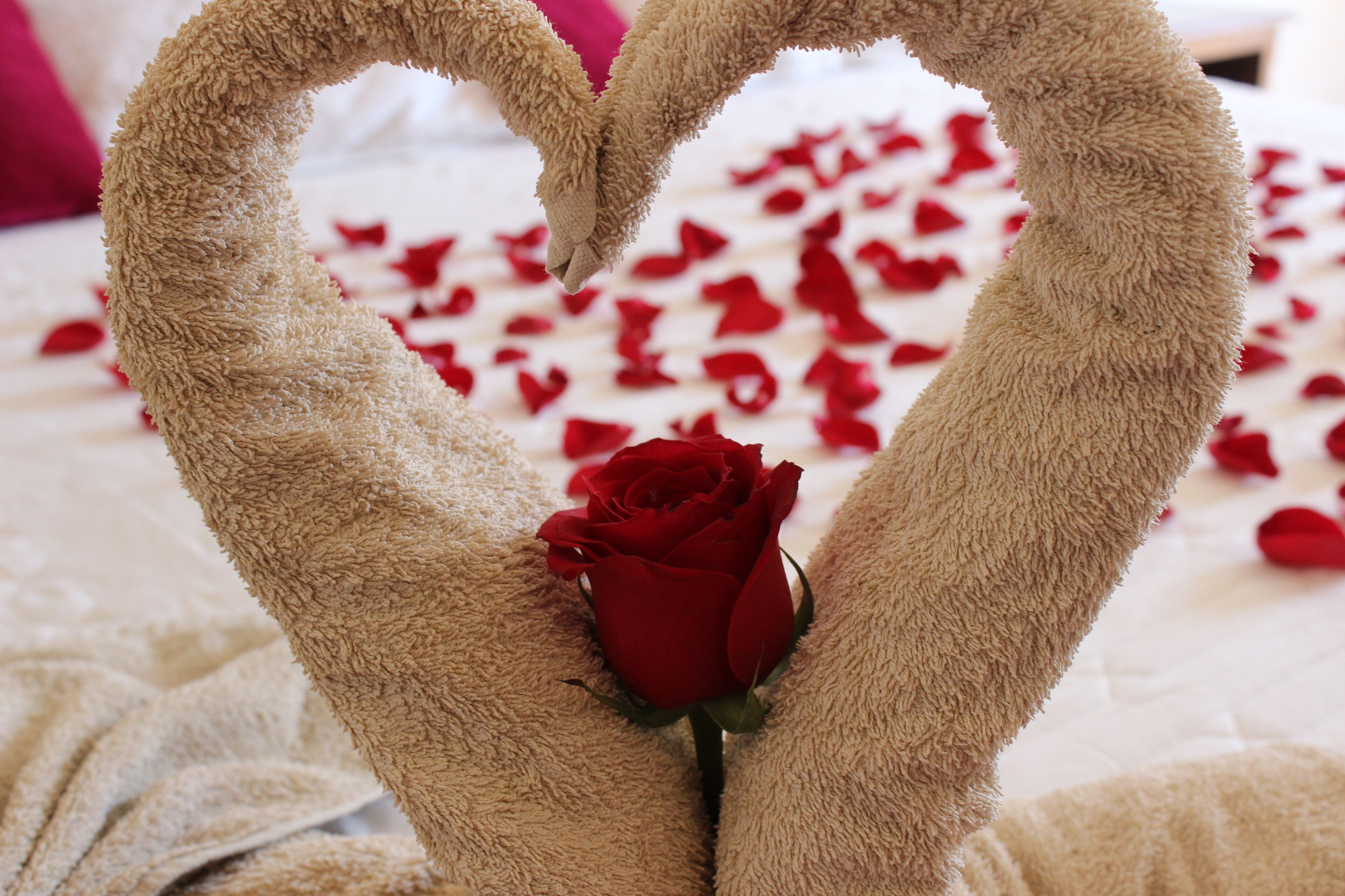 Photo - Hotel Antiguo Fortin