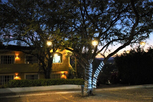 A tree with string lights wrapped around it, a building with multiple windows and lights, and a clear sky. - Hotel Antiguo Fortin (Oaxaca)
