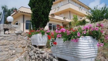 Área da propriedade