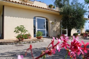 Property grounds - Belvedere Sperlonga (Sperlonga)