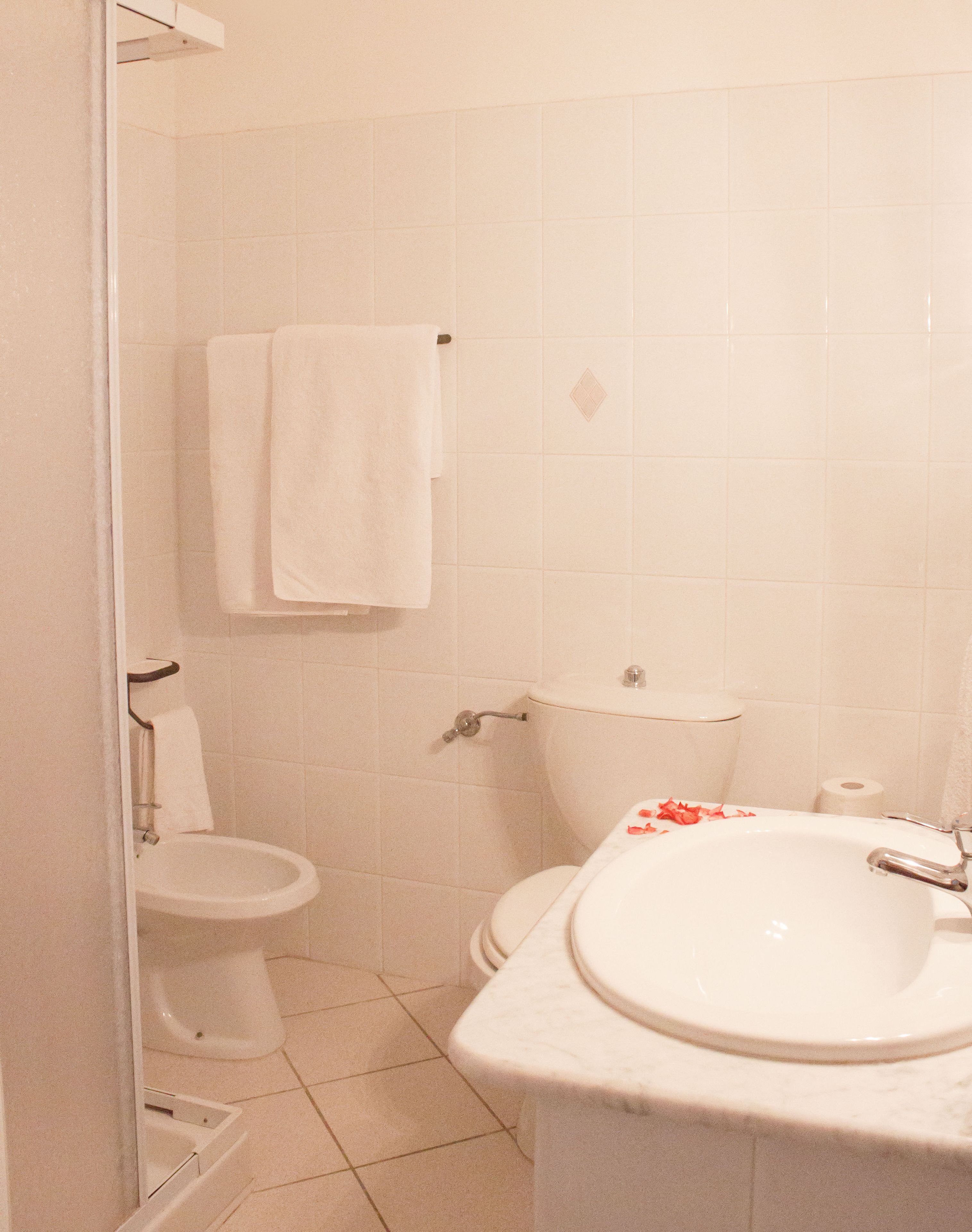 shower, free toiletries, hair dryer, bidet