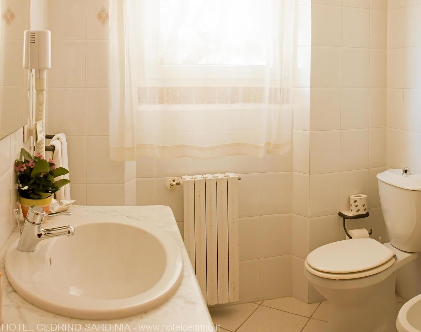 shower, free toiletries, hair dryer, bidet