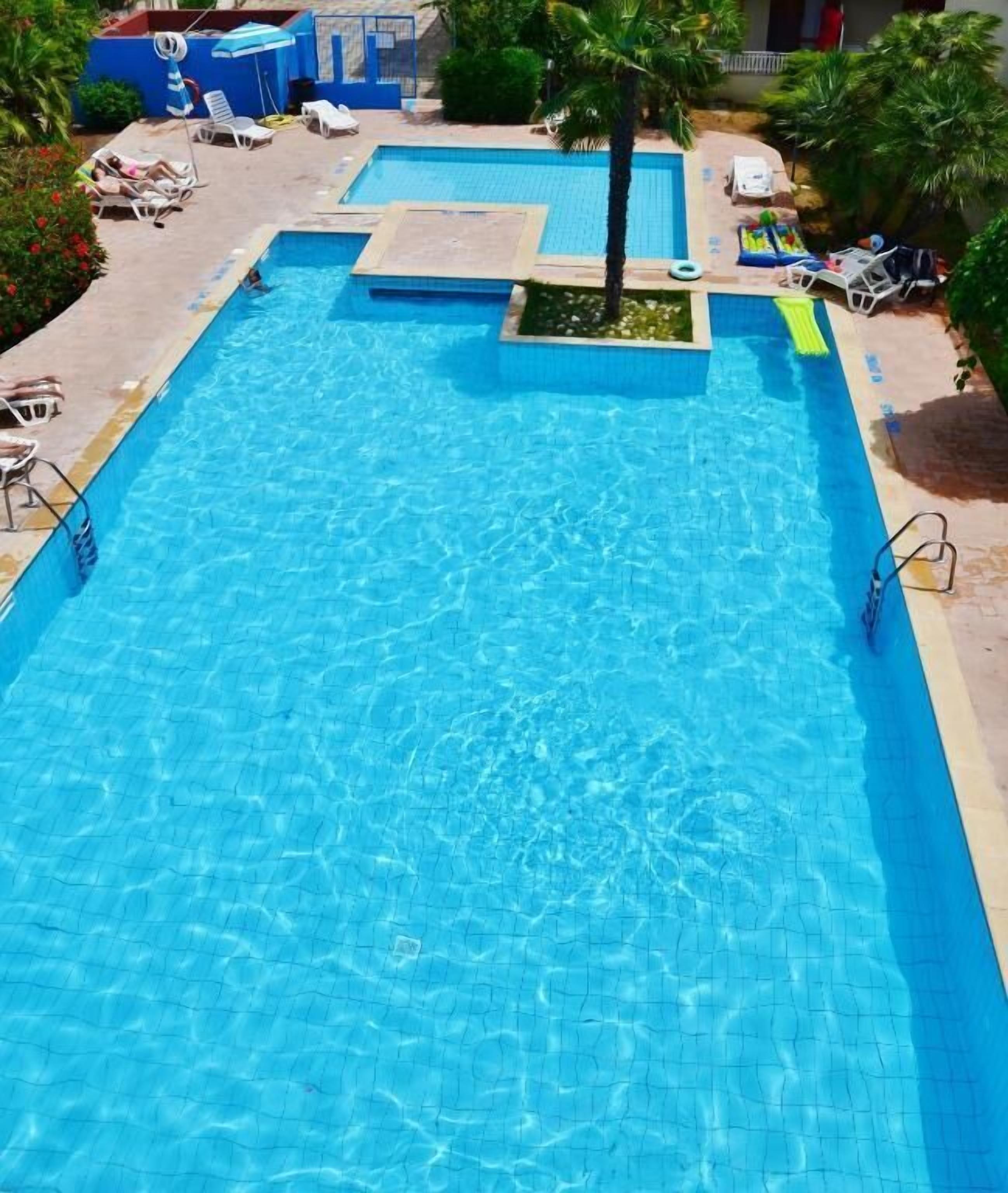 A rectangular swimming pool with clear blue water, surrounded by lounge chairs and a palm tree.