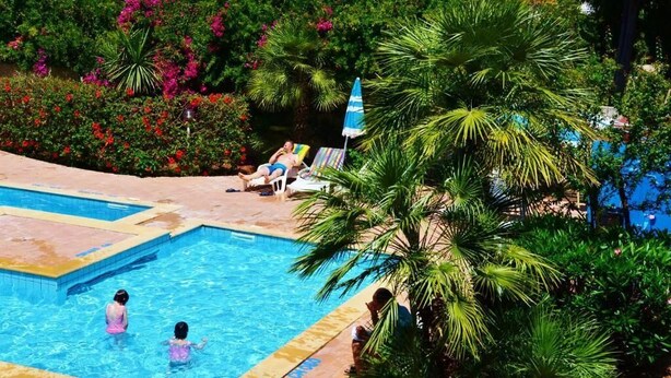 Una piscina envoltada de vegetació exuberant i palmeres.
