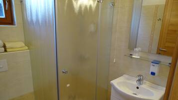 A bathroom with a glass shower enclosure, a sink with a mirror, and a toilet.