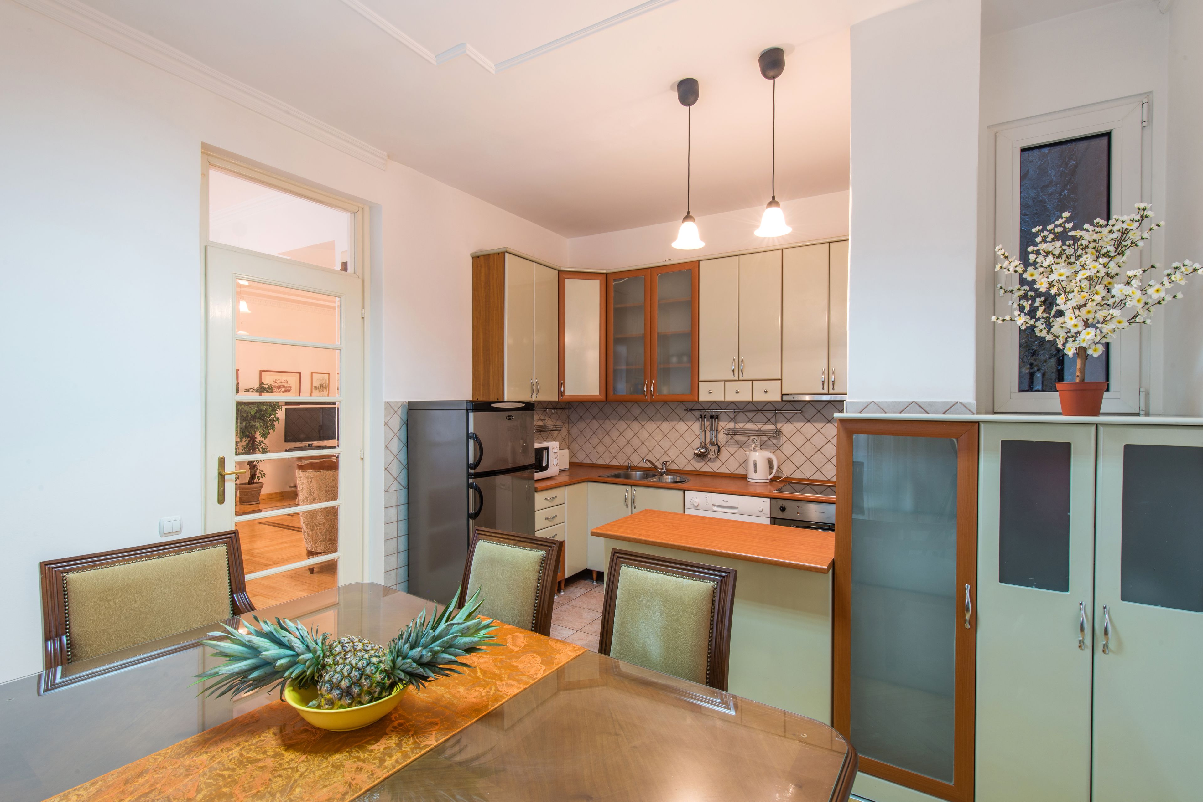 Grand réfrigérateur, micro-ondes, plaque de cuisson, lave-vaisselle