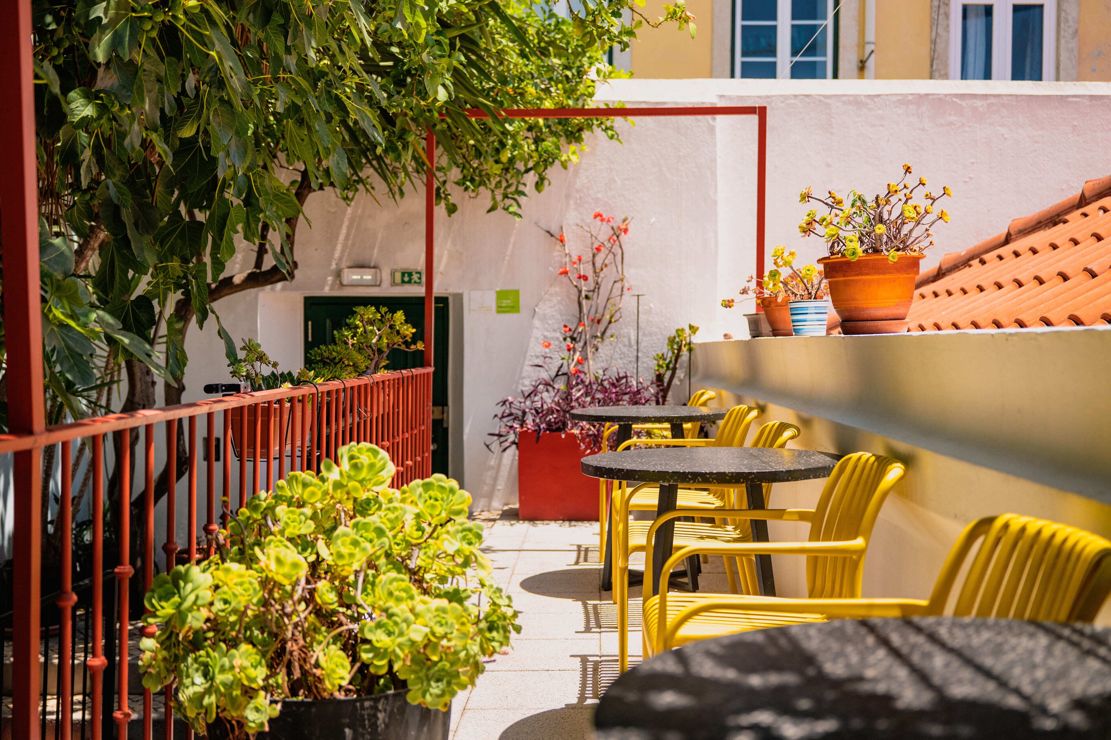 Photo - Casa do Bairro by Shiadu