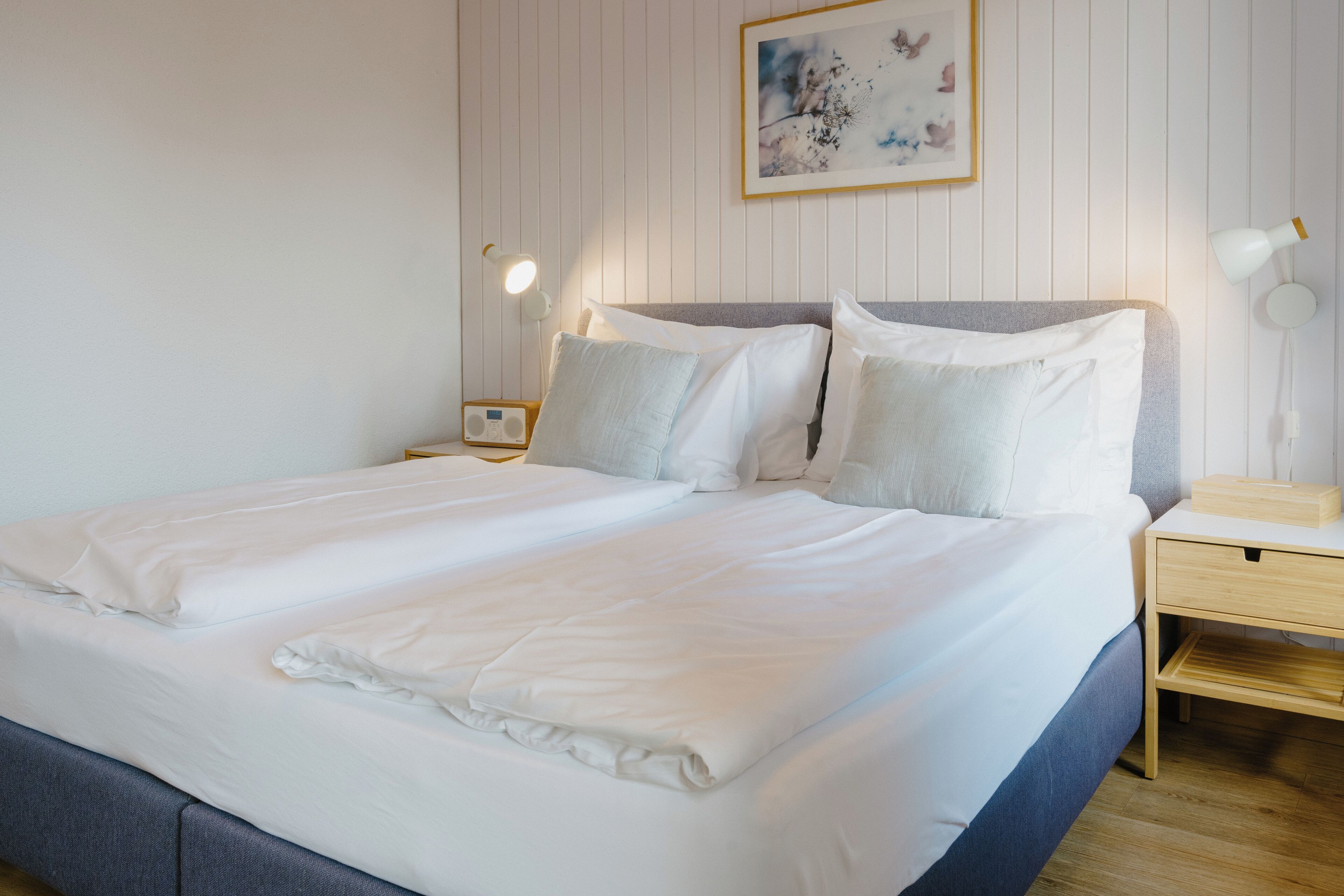 Desk, free WiFi, bed sheets