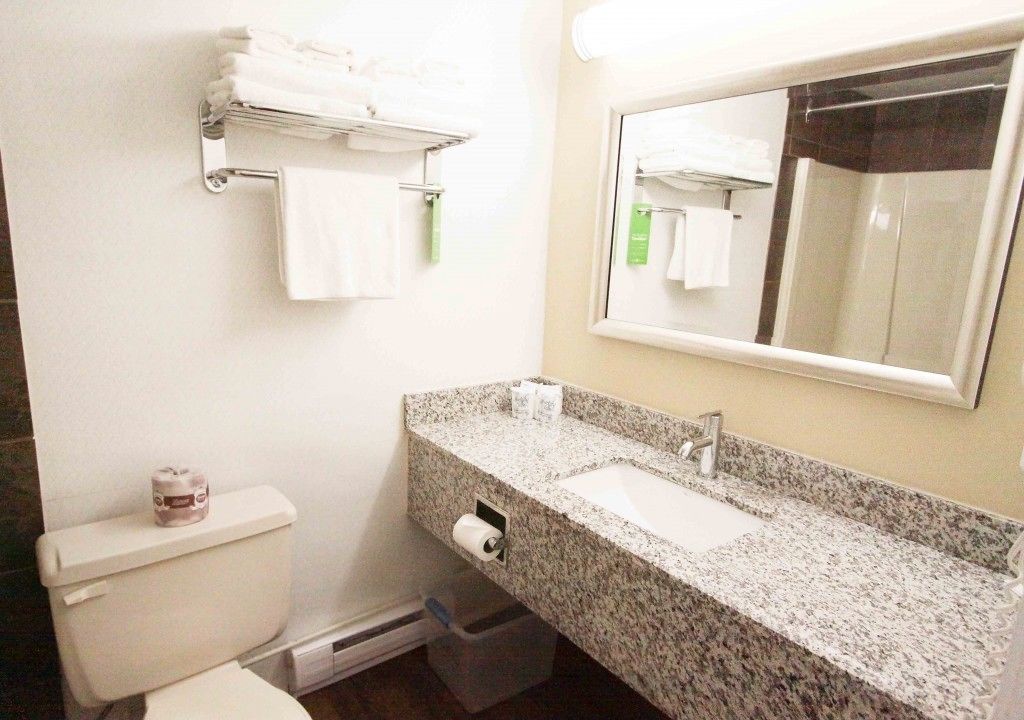 Estudio, cocina básica, planta baja (No Pets Allowed) | Baño | Ducha, secador de pelo, toallas y champú