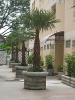 Área para eventos al aire libre