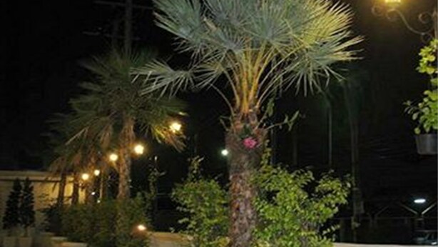 A nighttime outdoor area with palm trees and potted plants, illuminated by string lights. - Rafael Mansion Bangkok Airport (Bang Phli)