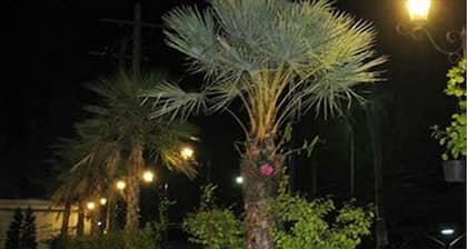 Rafael Mansion Bangkok Aiport