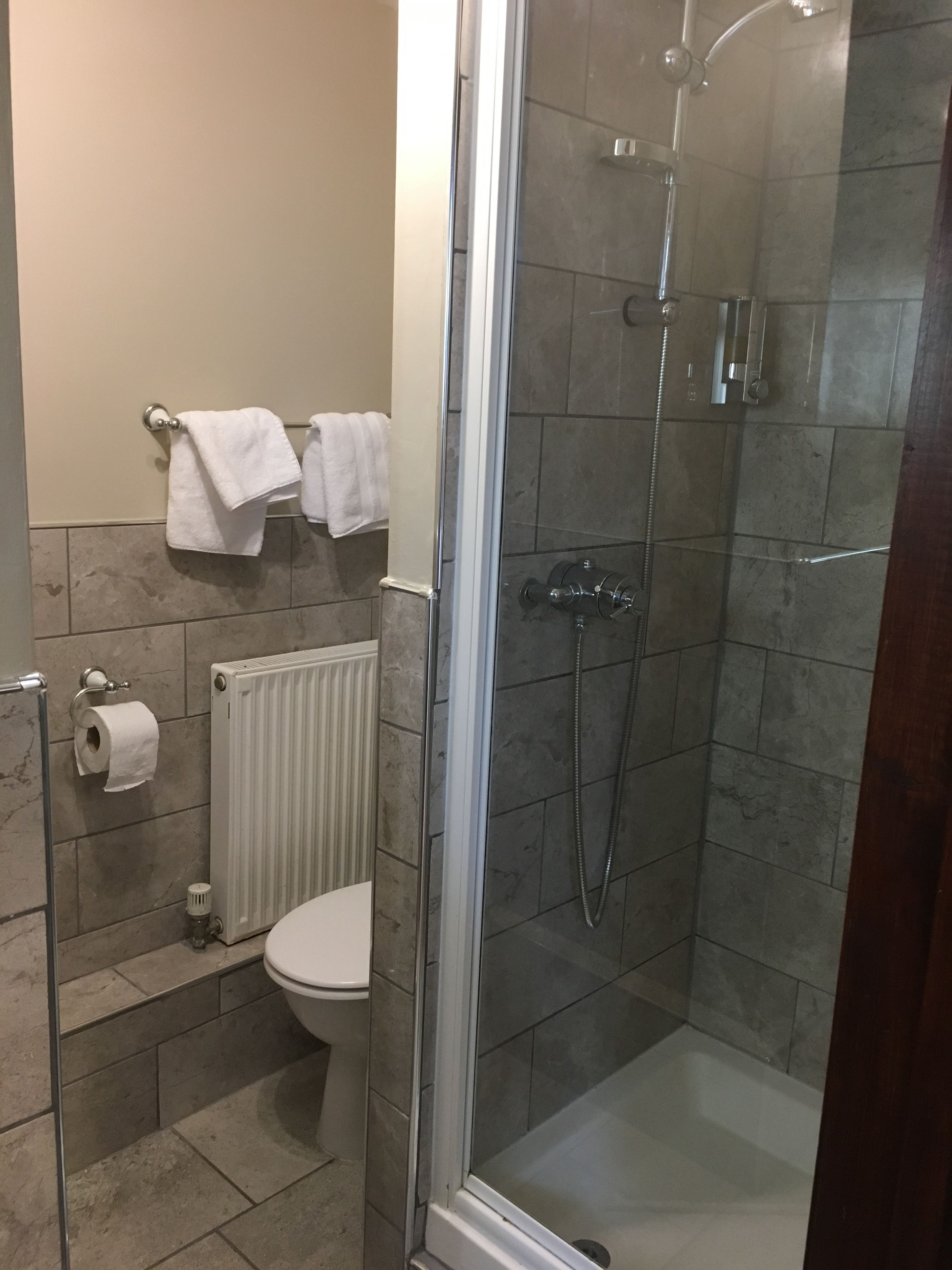 A modern bathroom with a glass-enclosed shower, a toilet, and a towel rack.