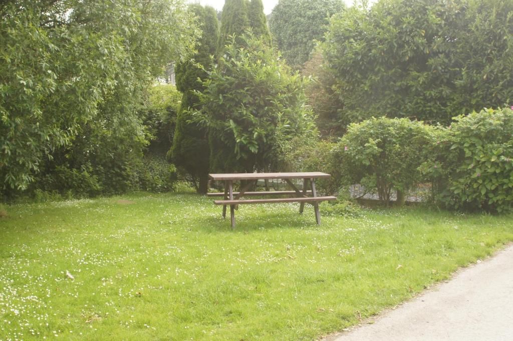 A picnic table in a grassy area with dense trees in the background.