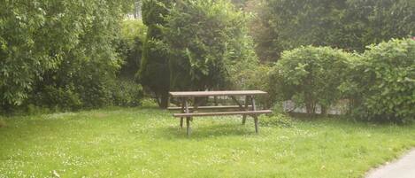 A picnic table in a grassy area with dense trees in the background.