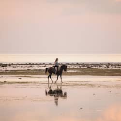 Horse riding