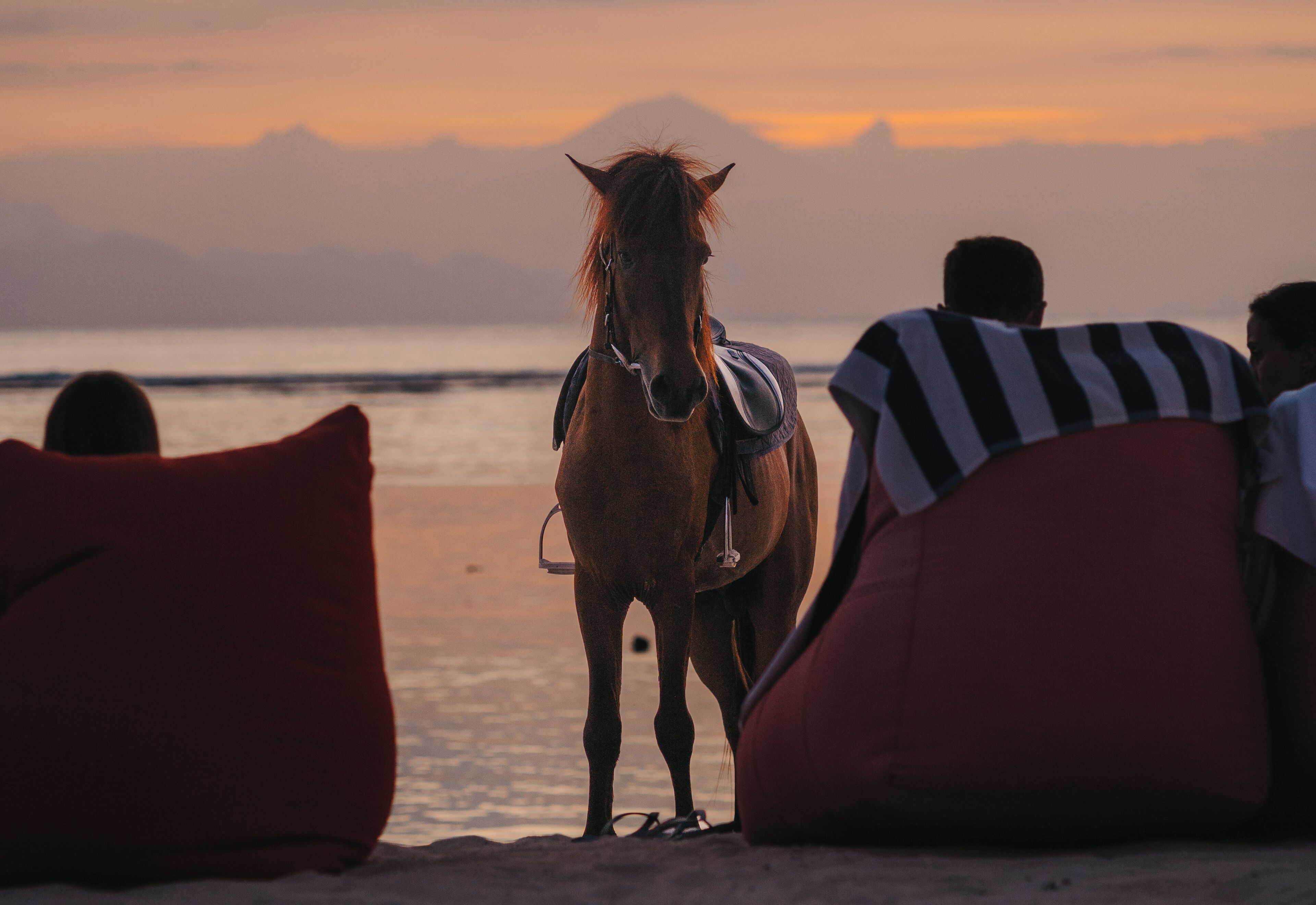 A horse standing on a beach with mountains in the background.