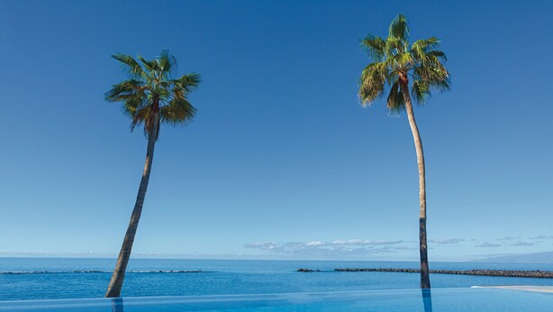 A clear blue sky with two palm trees and a calm sea. - Hotel Riu Arecas - Adults Only (Adeje)