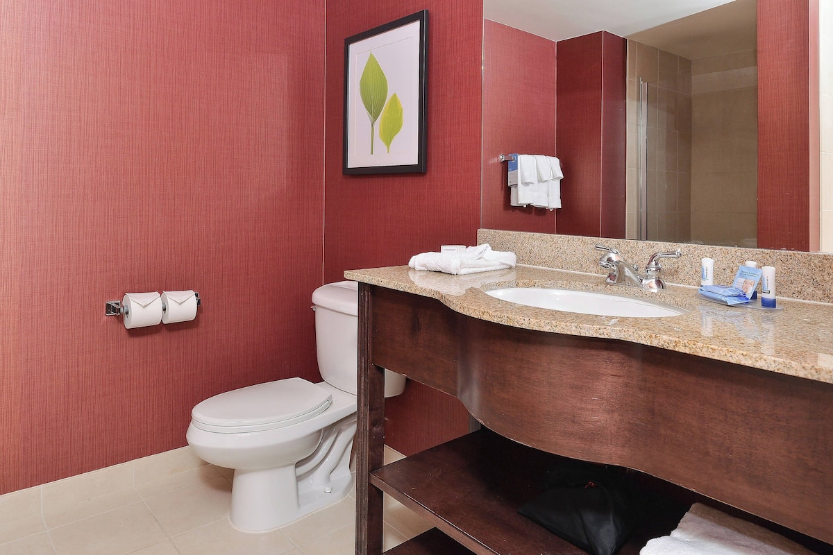 suite, 1 bedroom | bathroom | free toiletries, hair dryer, towels