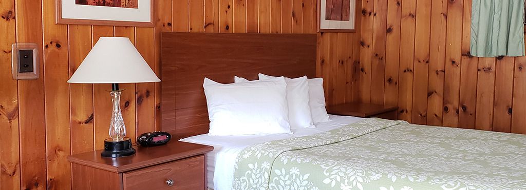 A wooden-paneled room with a bed, a nightstand with a lamp, and a framed picture on the wall.