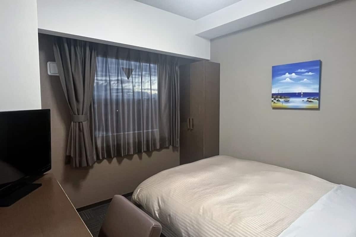 Quarto de hotel com uma cama, televisão, janela com cortinas e um quadro na parede.