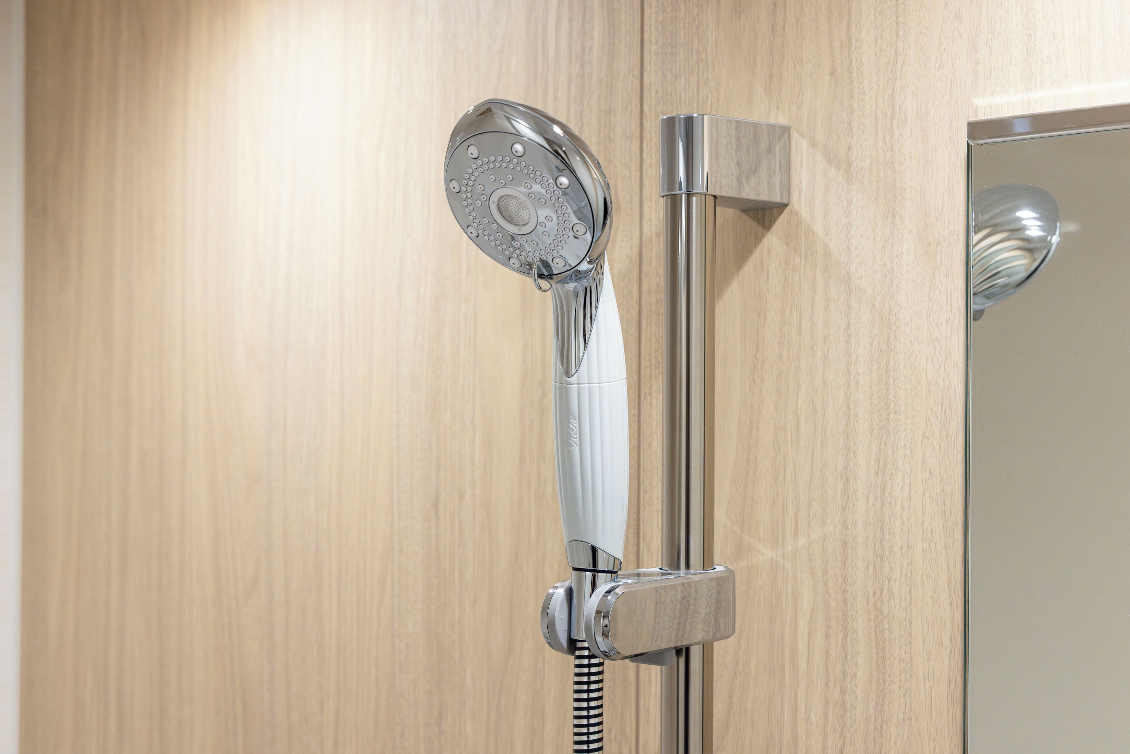 A shower with a handheld showerhead and a vertical stream.