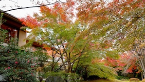 A traditional Japanese garden with a large tree, a rock, and a small pond. - Ranzan Hotel (Kyoto)