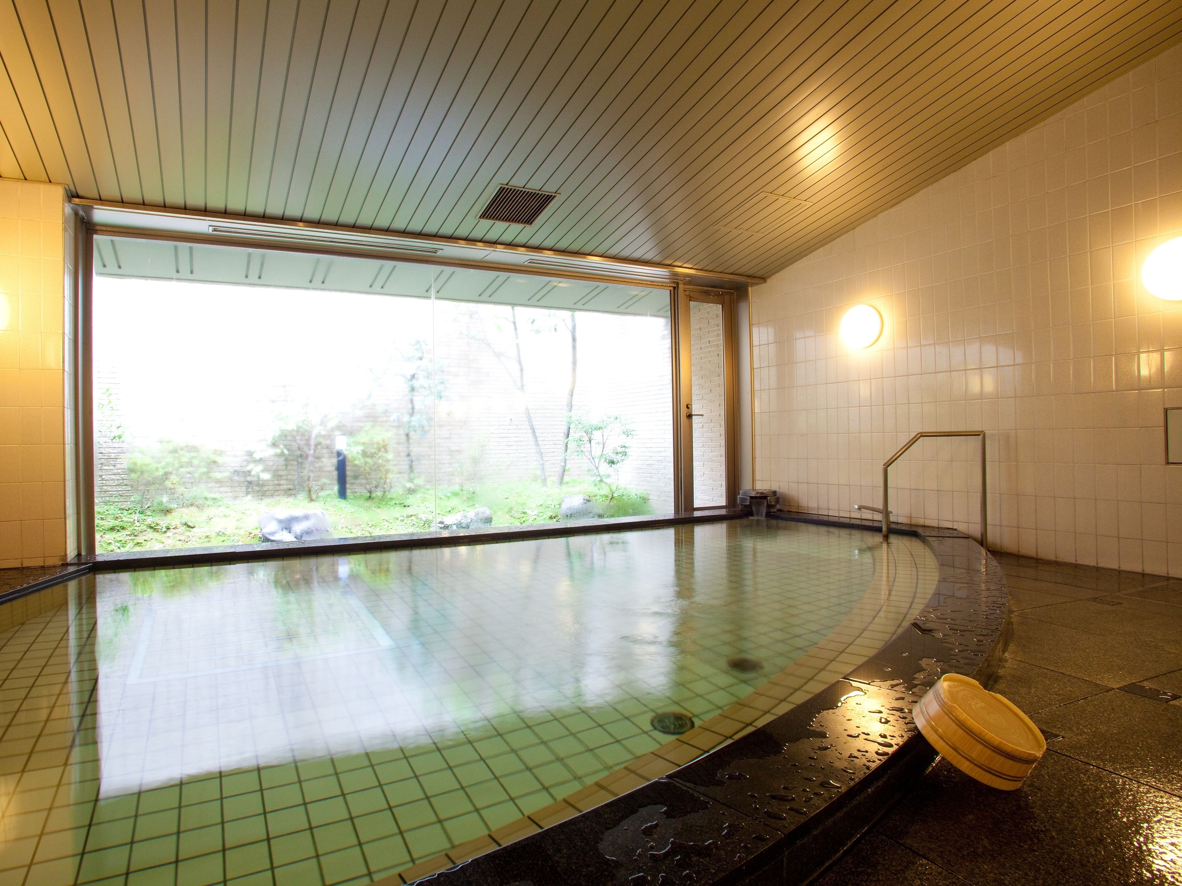 A large indoor swimming pool with a view of a garden through a glass door.