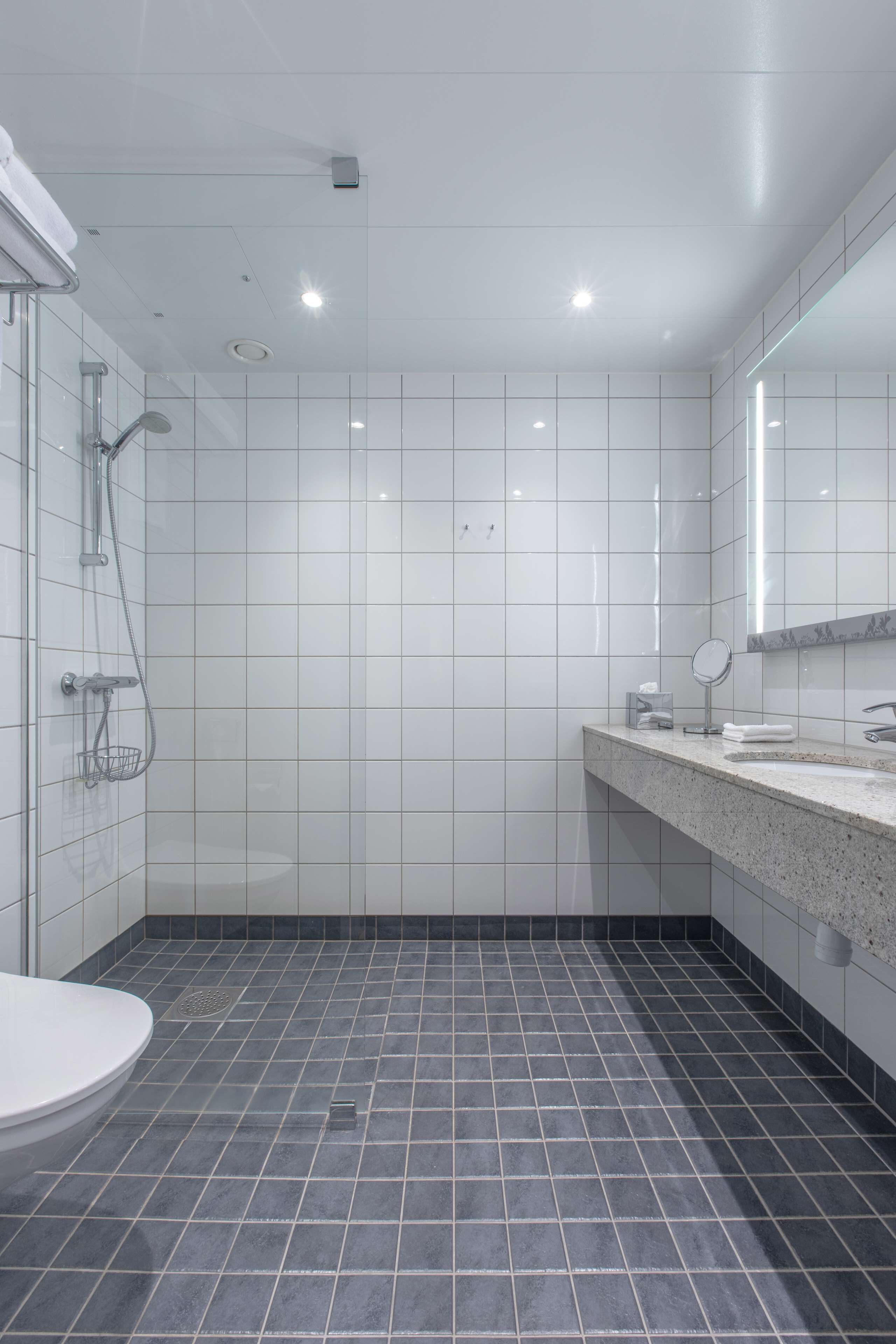 Une salle de bain moderne équipée d’une douche, de toilettes et d’un lavabo.